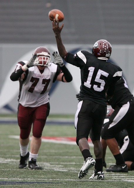 裁判專業能 裁判專業能